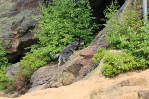 2018 Ausbildungswoche Arber